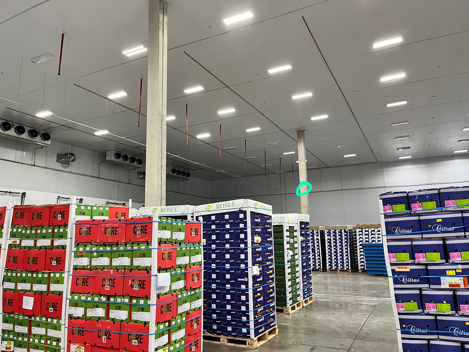 PA speaker point marked out for a commercial warehouse zone